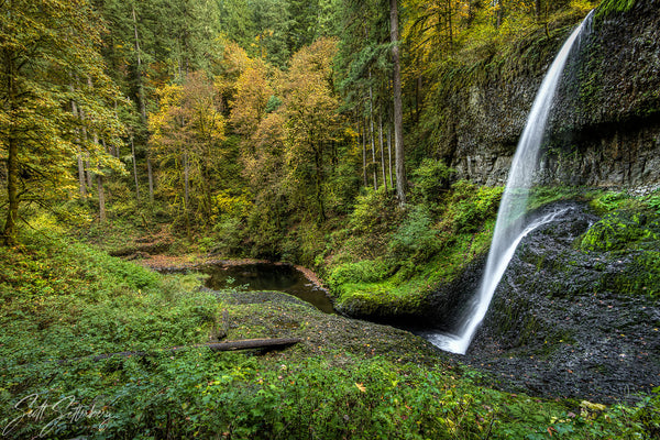 Oregon Fall Colors Review