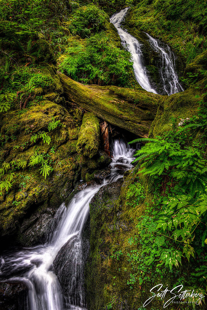 Bunch Creek Falls