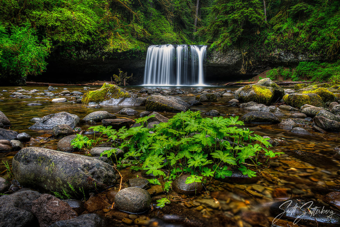 Butte Creek Falls