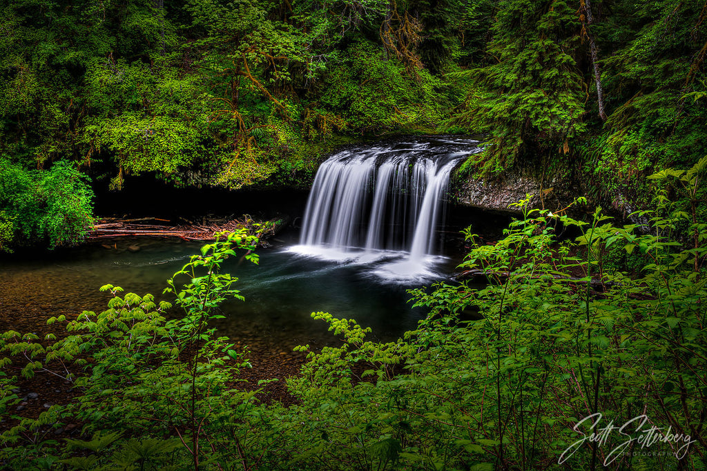 Butte Creek Falls