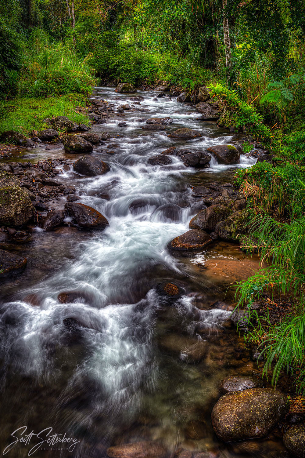 El Castillo Stream