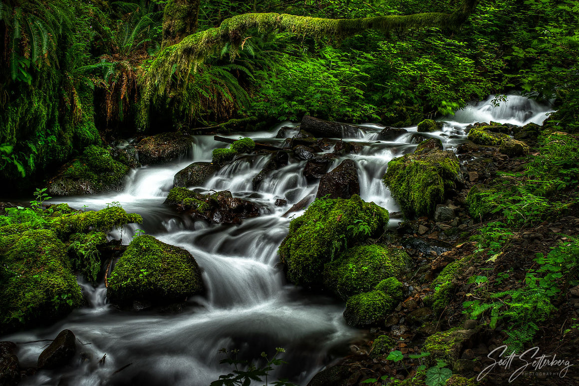 Fairy Falls Stream