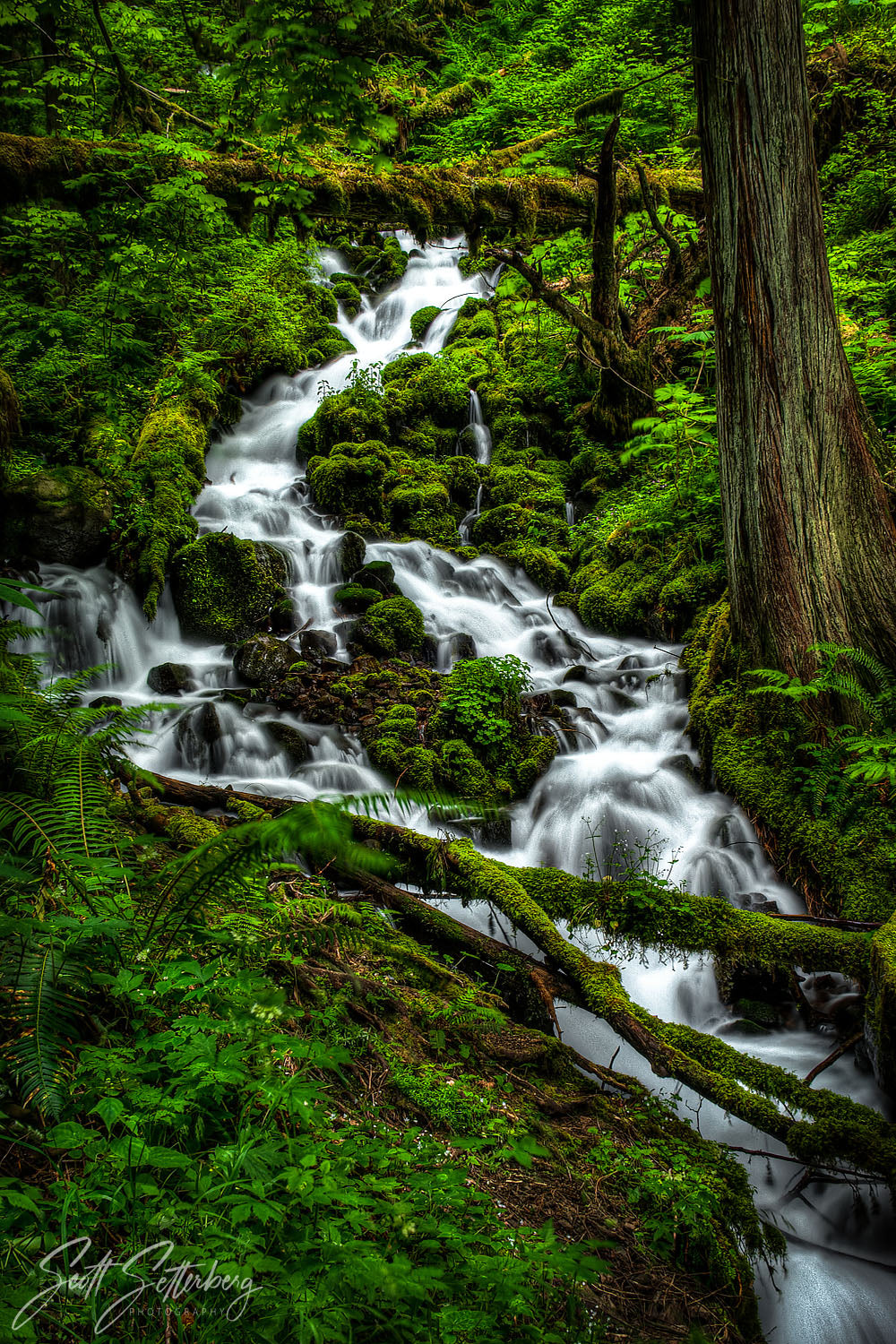 Fairy Falls Stream