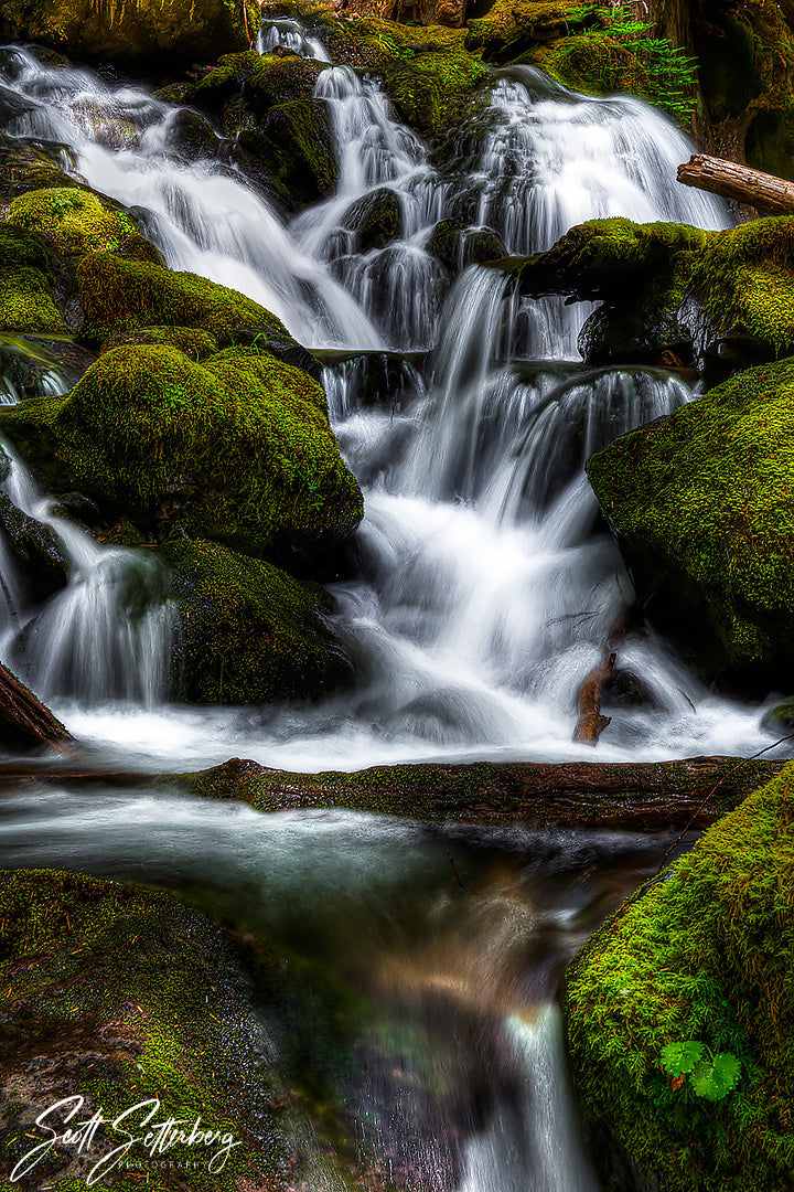 Mt. Rainier Stream