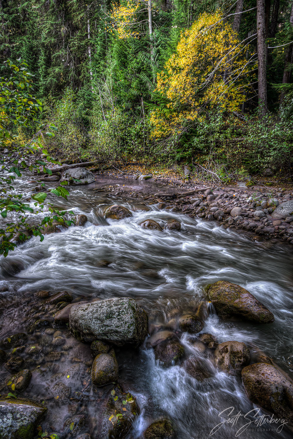 Highway 35 Stream