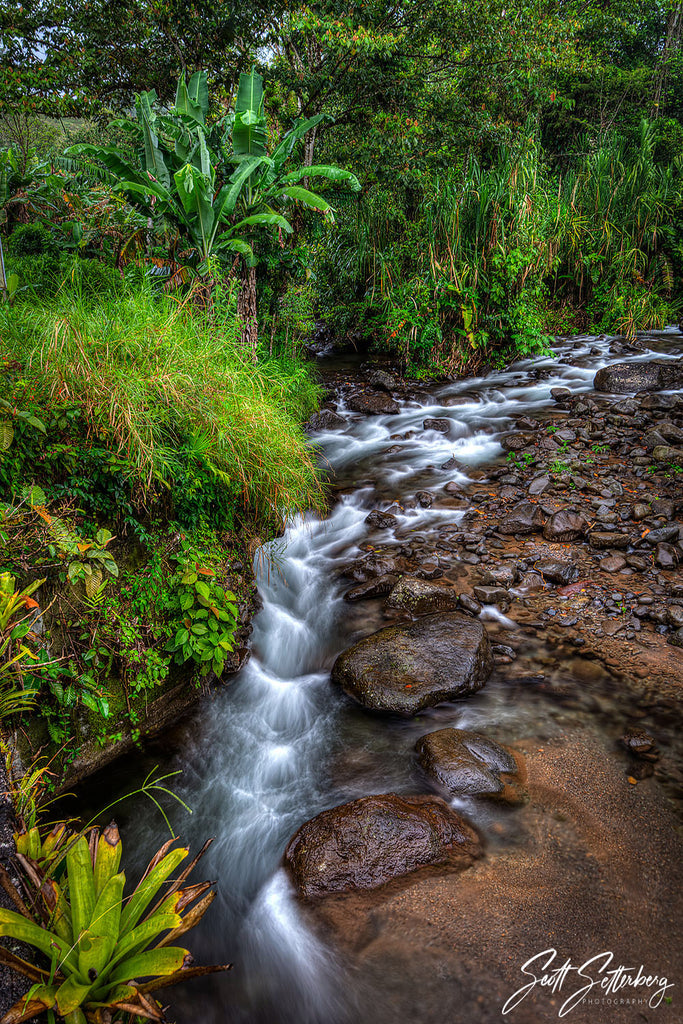 El Castillo Stream