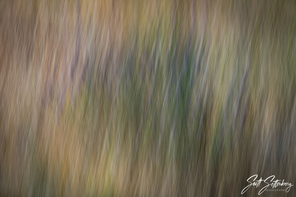 McNary Wildlife Refuge Abstract