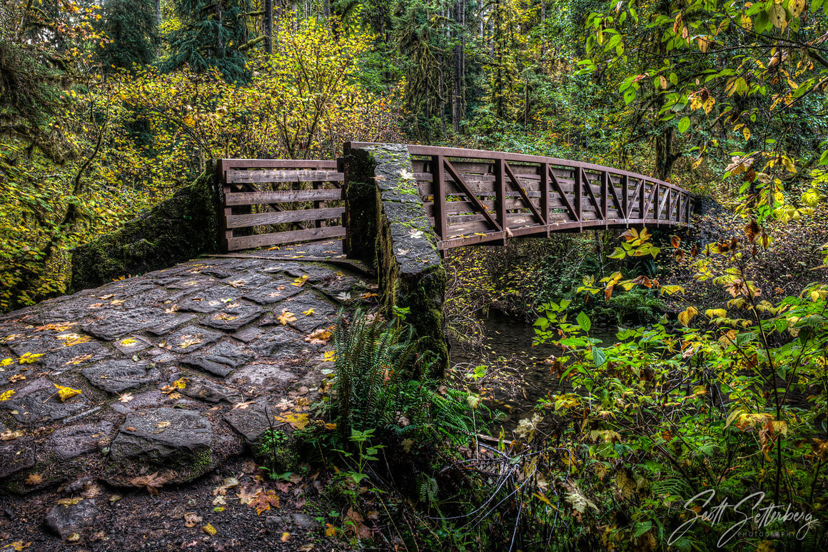 Silver Falls Bridge