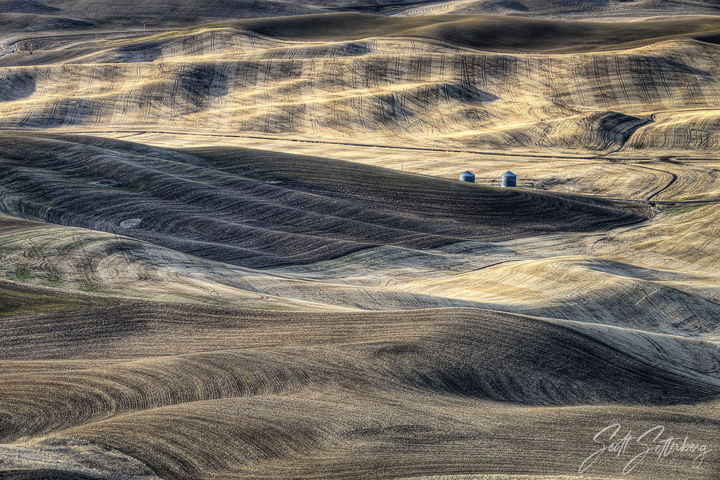 Palouse Early Spring