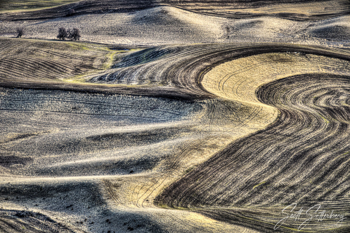 Palouse Early Spring II