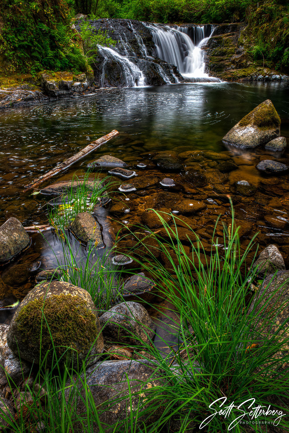 Sweet Creek Falls