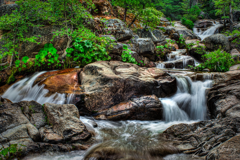 Tamarack Creek