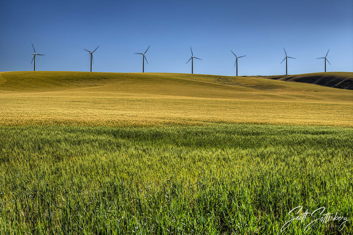 Tri Cities Windmills