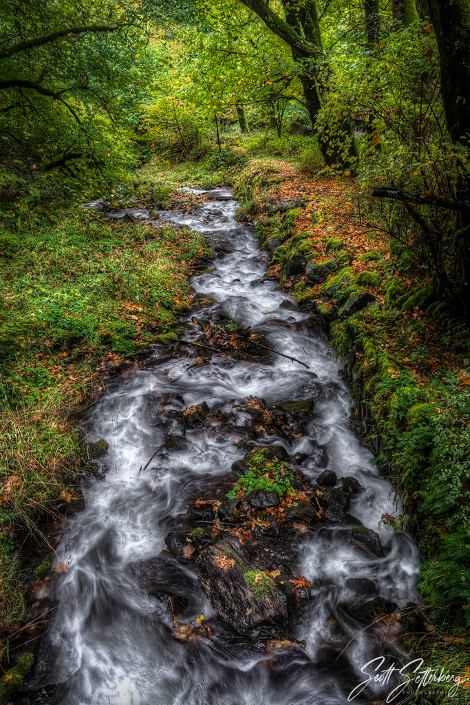 Wahkeena Downstream