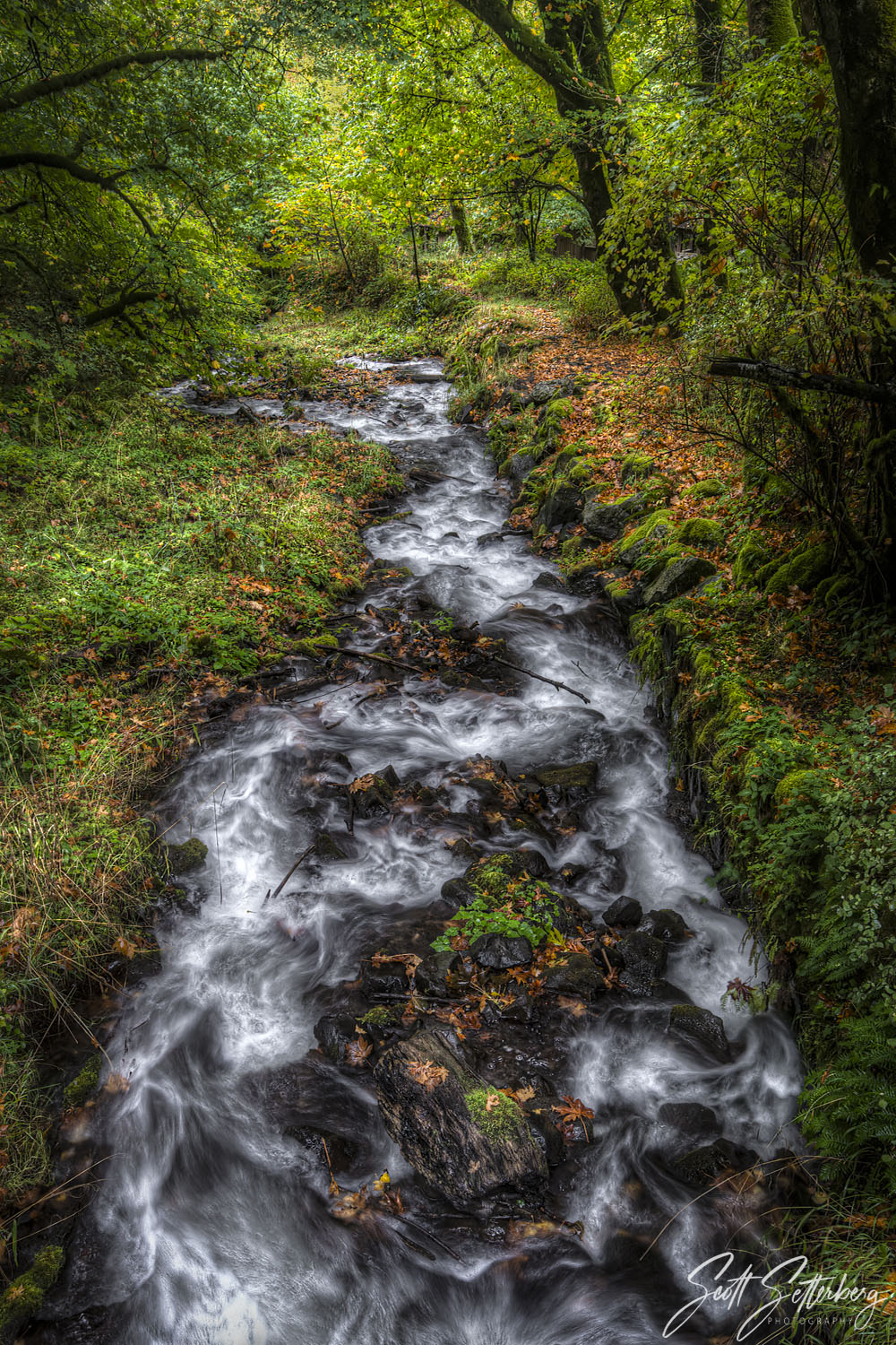 Wahkeena Downstream