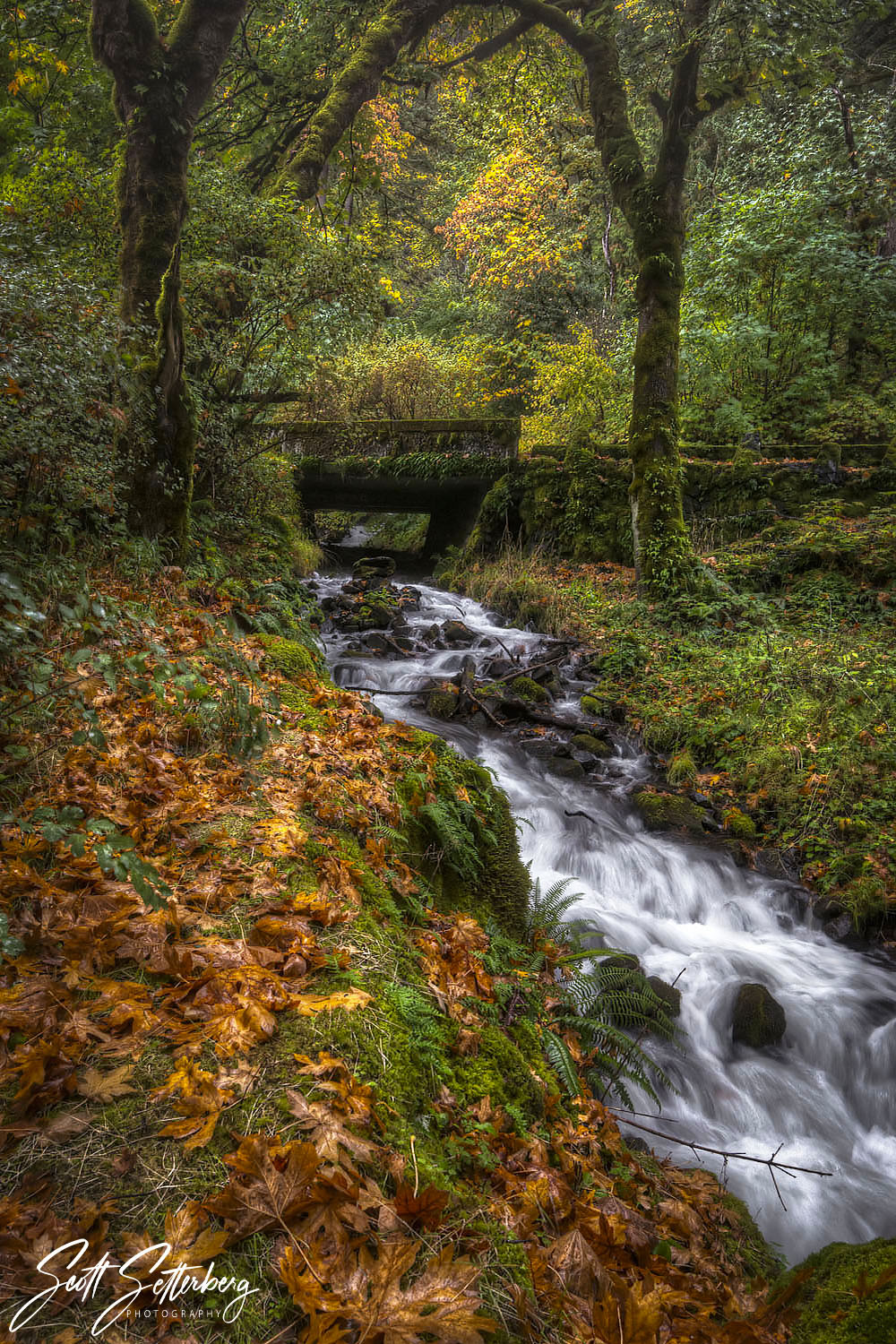 Wahkeena Fall Colors