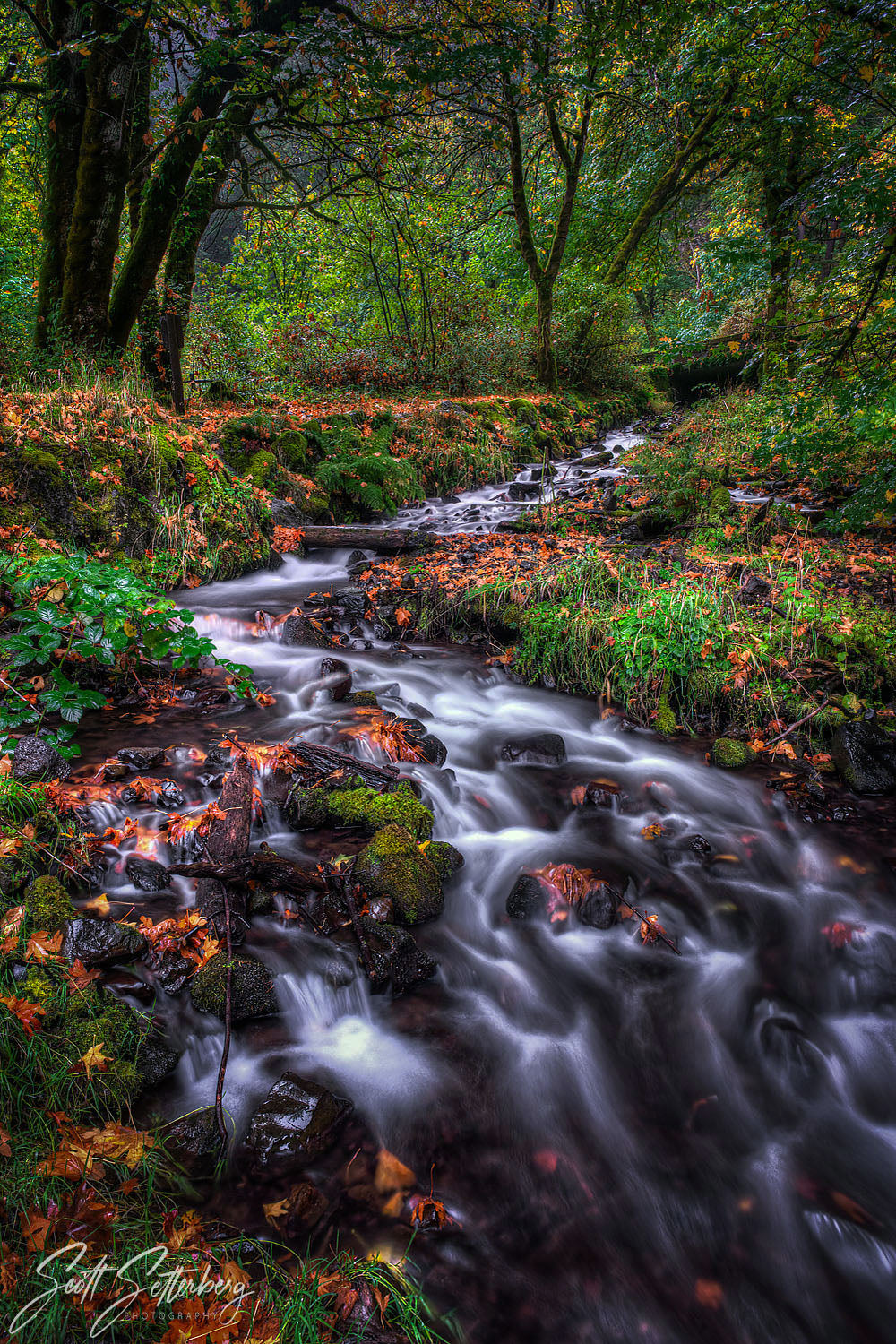 Wahkeena Stream