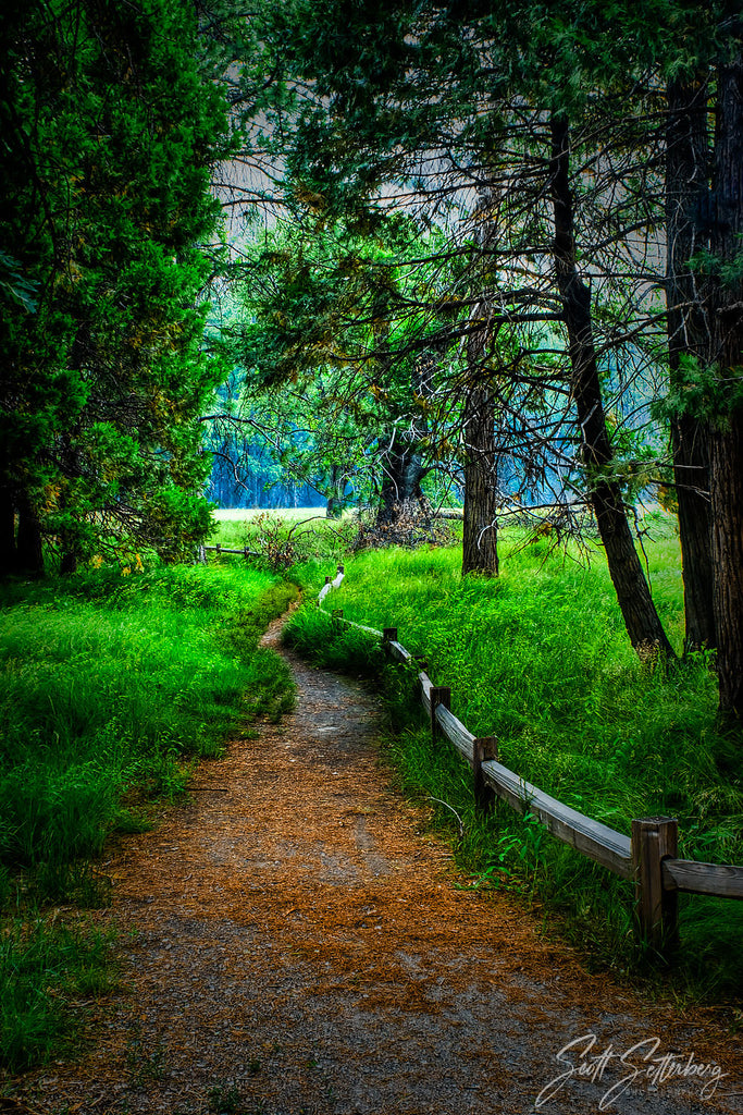 Yosemite Pathway